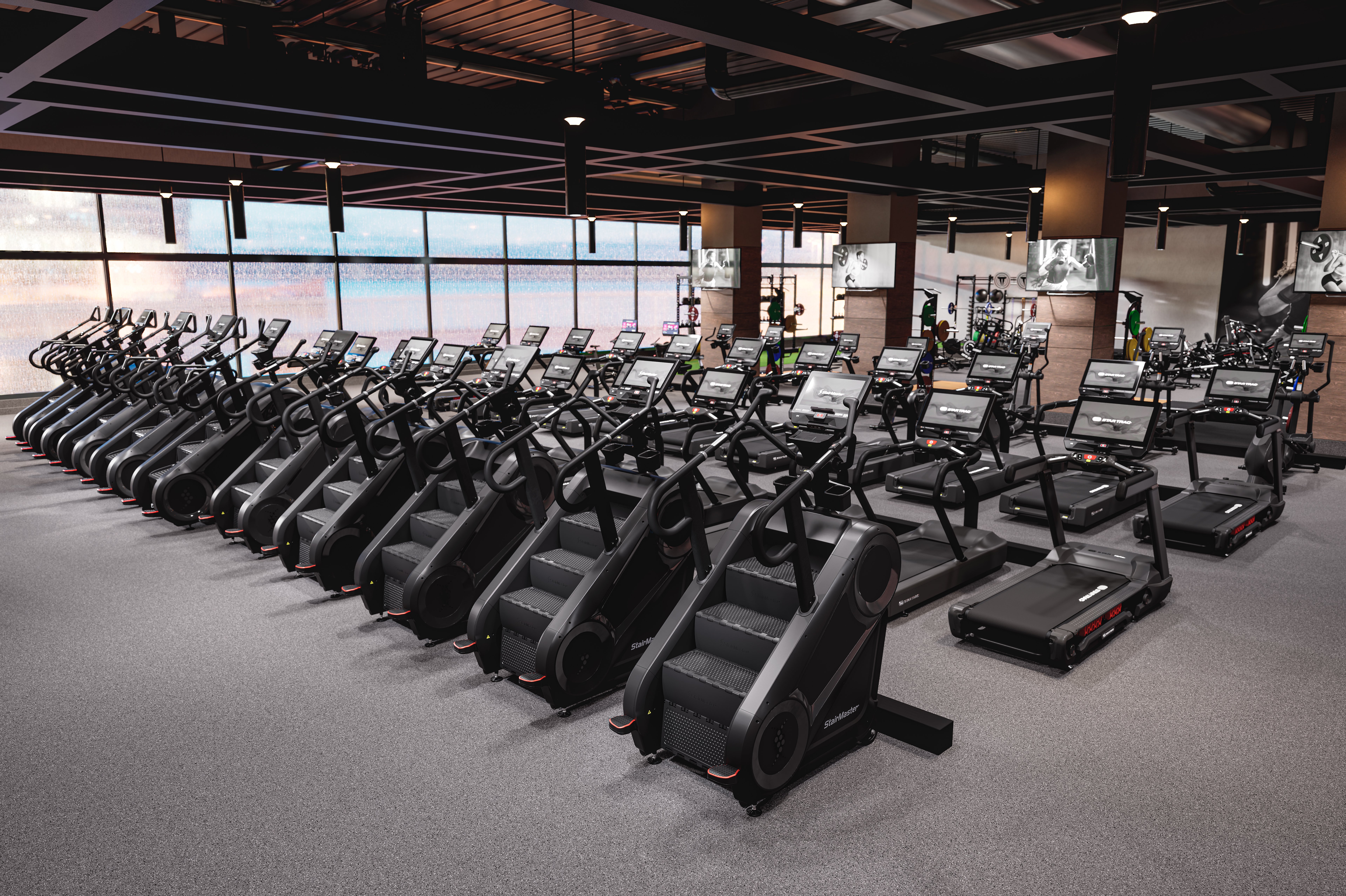 StairMaster Star Trac Fitness Club