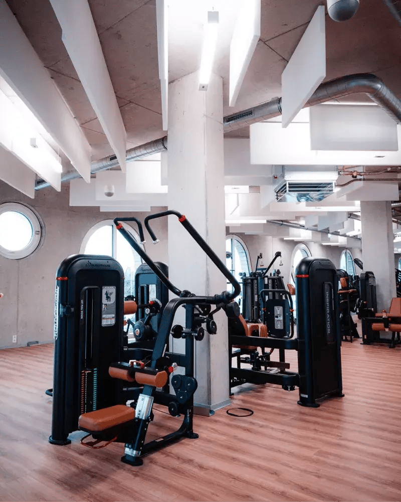 Stärke 2- Adam & Eve Deutschland Nautilus Inspiration 2