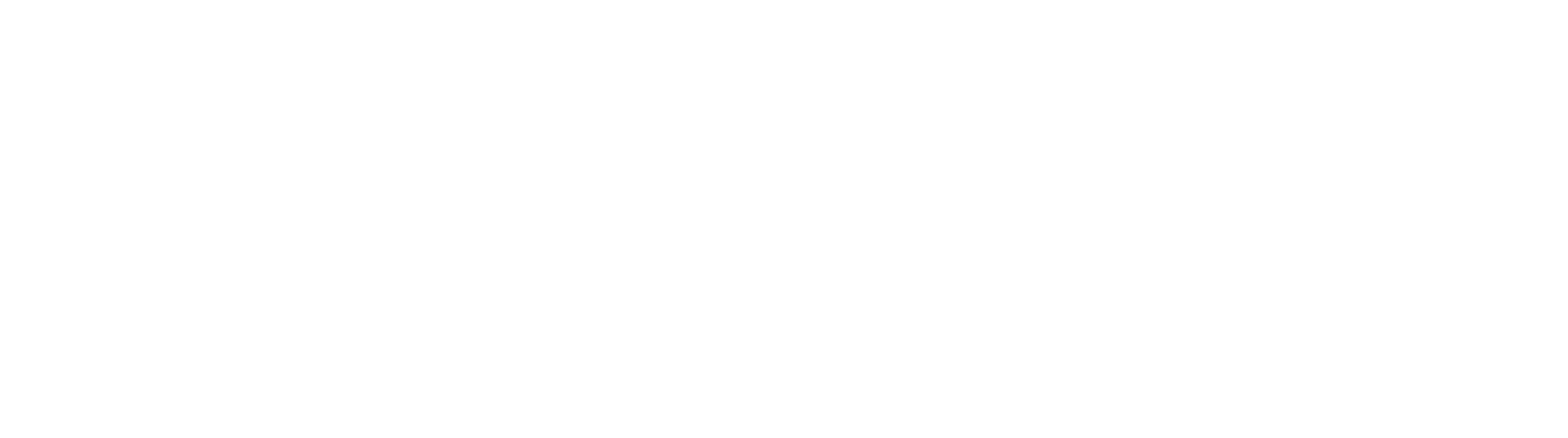 2026_Schwinn Weißes Logo-61