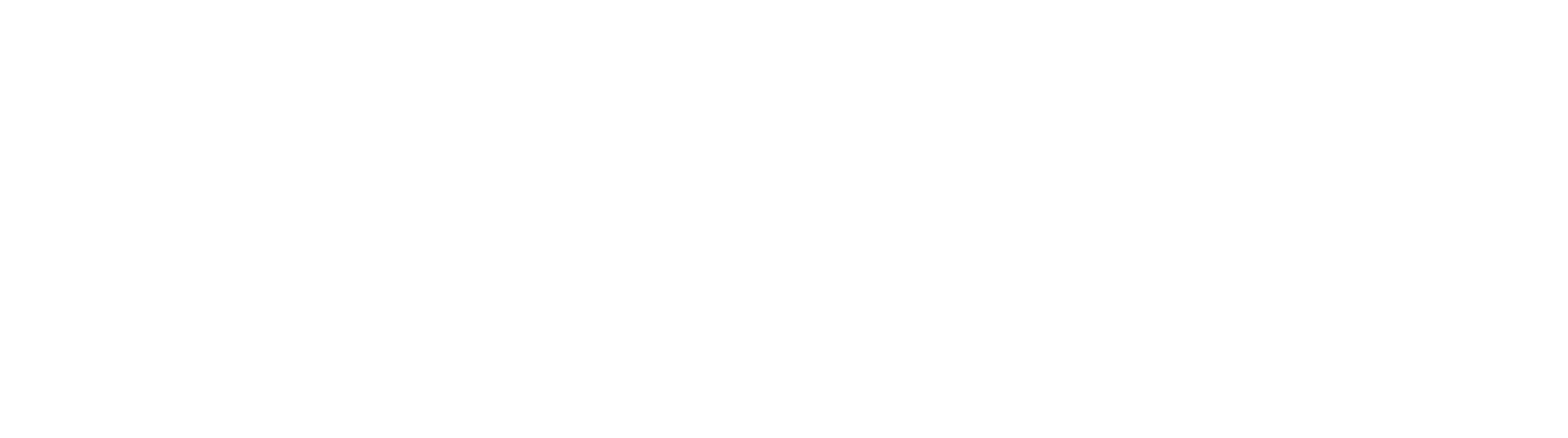 2026_Throwdown Weißes Logo-63
