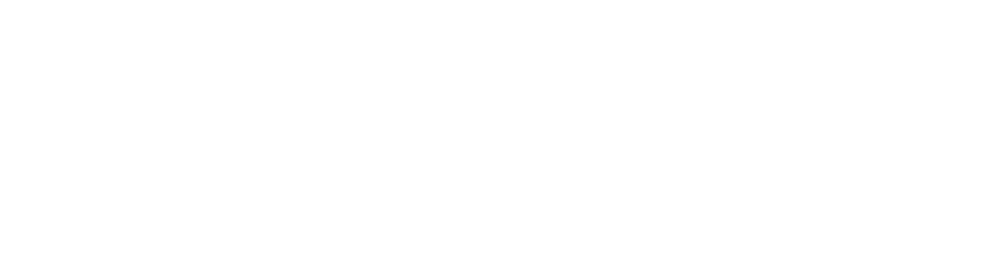 StairMaster Weißes Logo