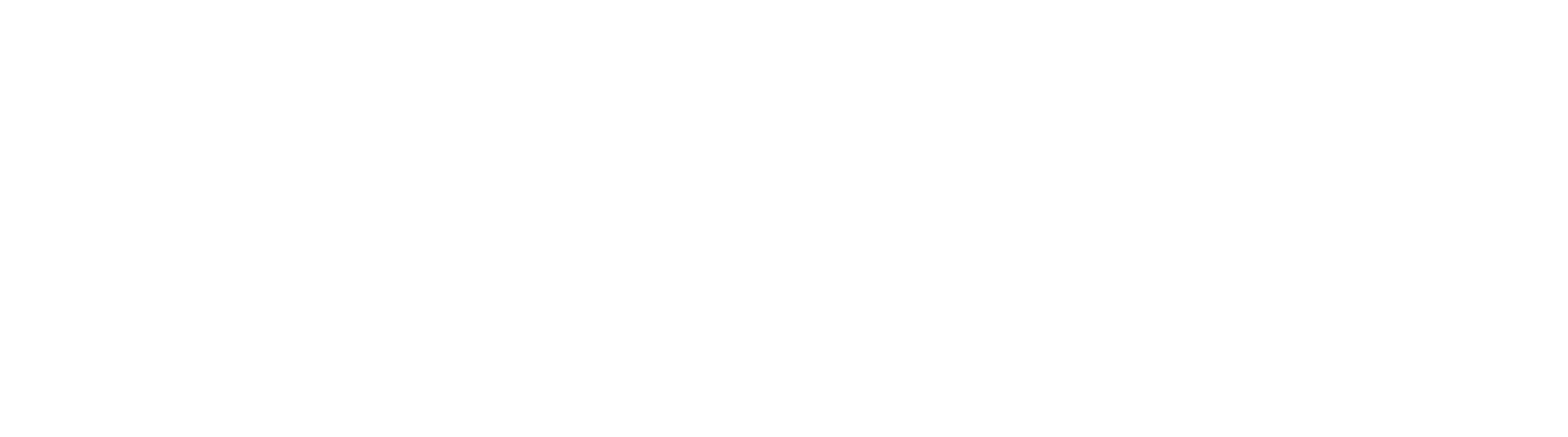 Star Trac weißes Logo