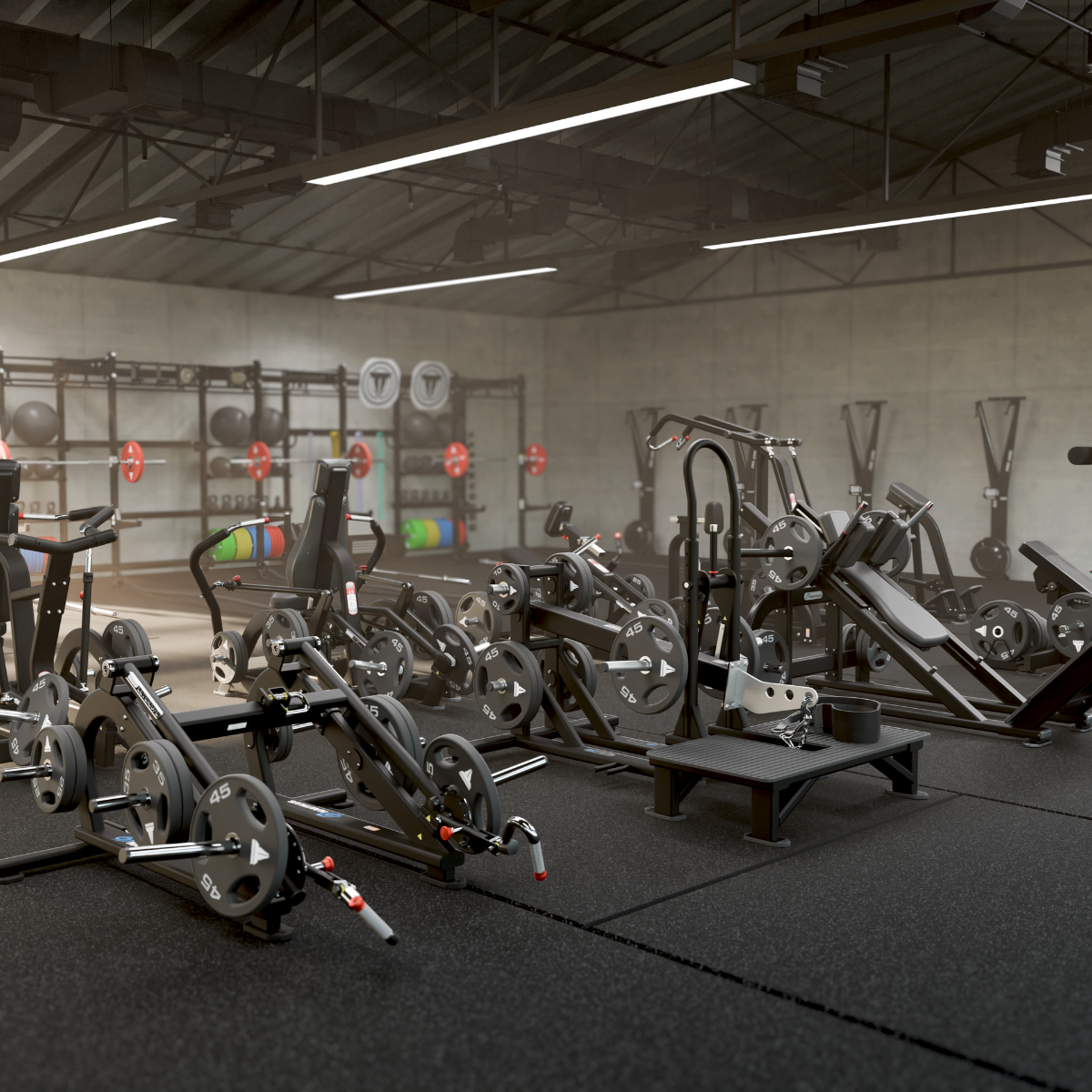 Von Kraft zur Performance: Wie aktuelle Trends die Fitnesszukunft prägen.